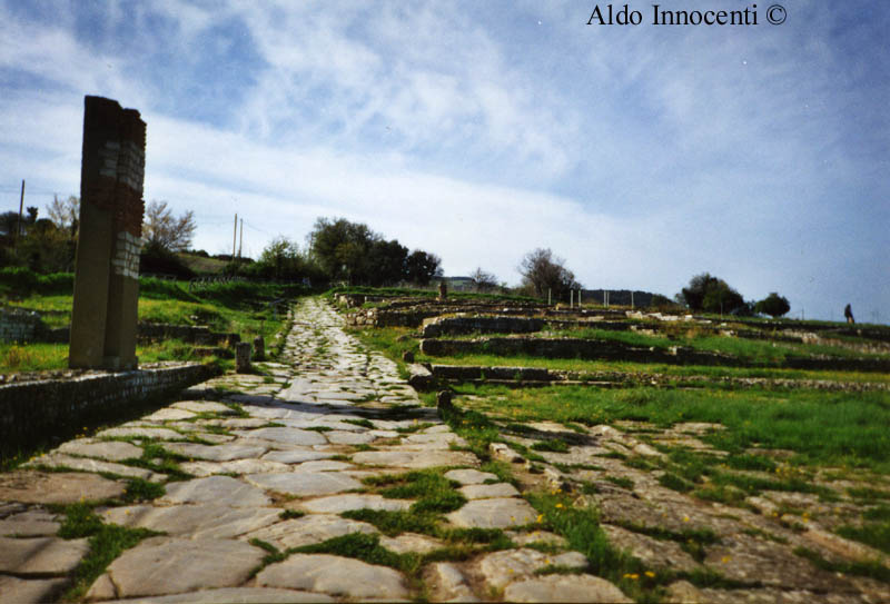 IL FORO DI ROSELLE